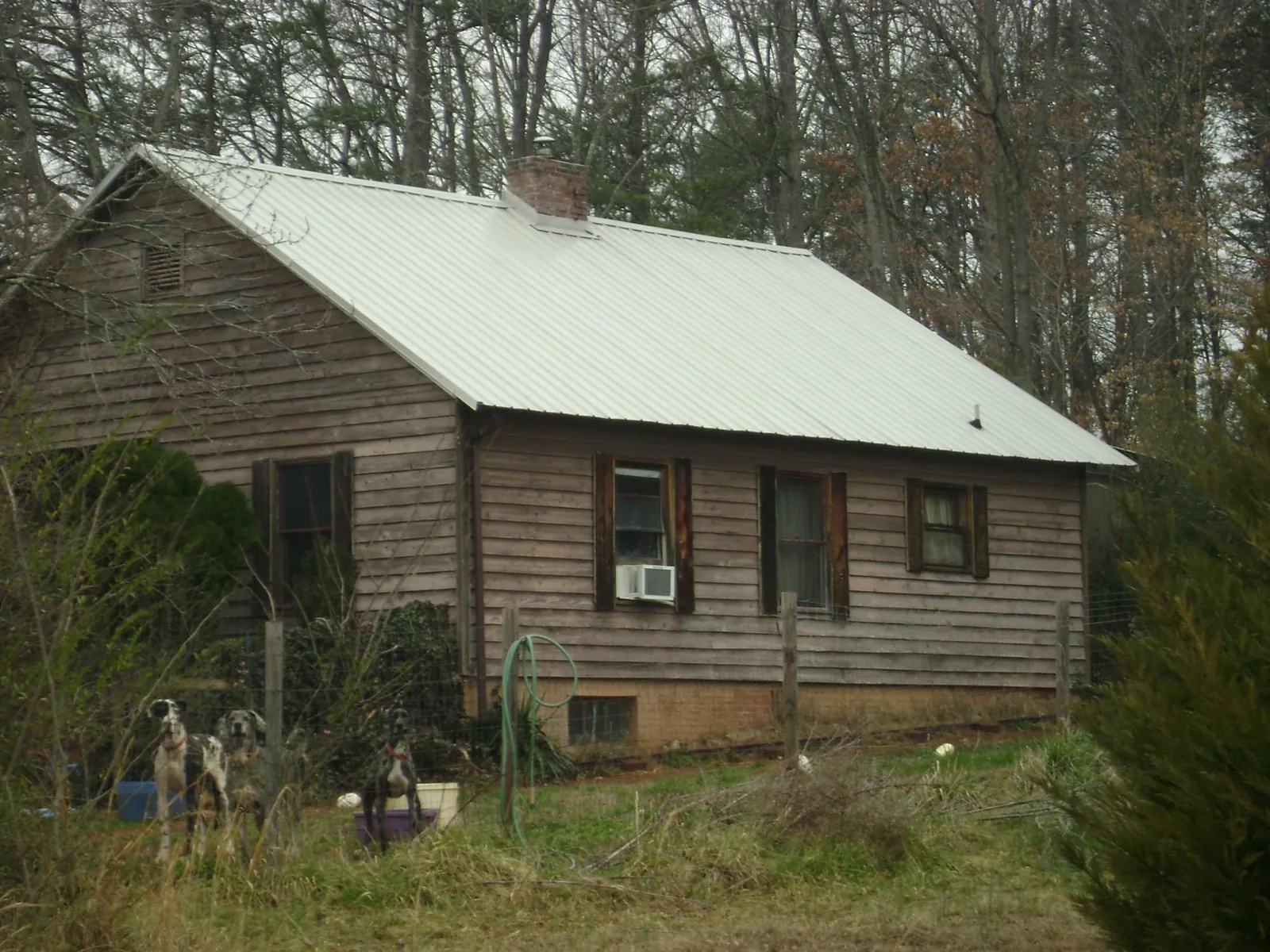 White metal roof on an old wood sided farmhouse, from a Asphalt Shingle Roof Repair job in Hallsville